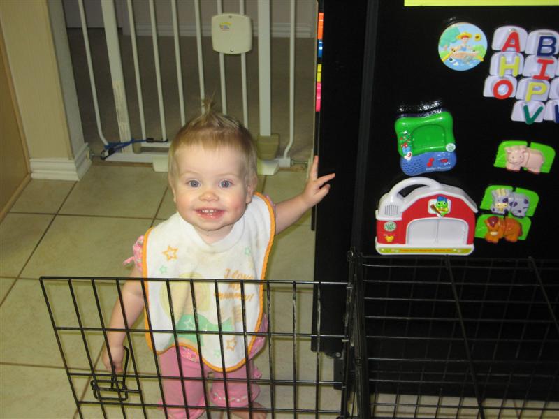 Jess_DogCrate-1.JPG - Back home.  Let's get these doggies out of here!