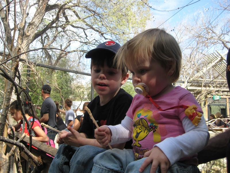 Jess_Zoo-ParakeetCage-9.JPG - ..."What?  We just sit here with this stick and wait and the birds will fly right up to us you say?"...