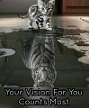 YourVision