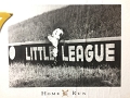 LittleLeague_OverTheWall-Vintage