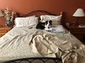 Grace_ComfySPot_10-2020