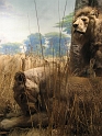 NYCJuly2008-AMNH-39